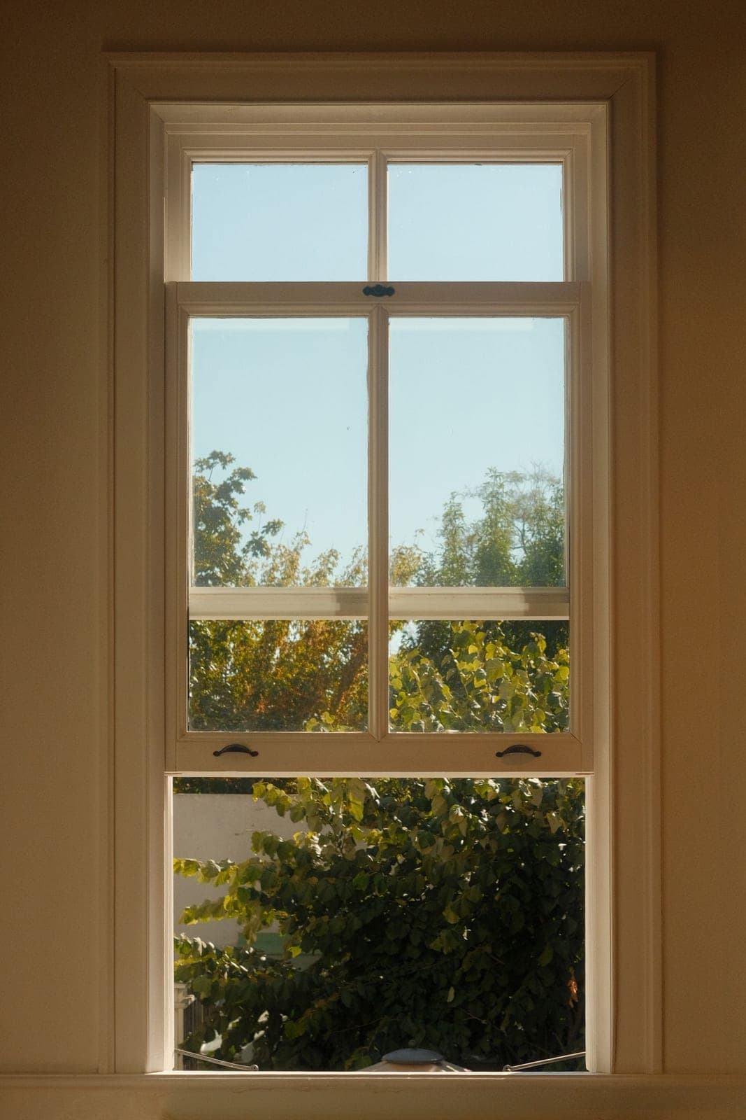Triple pane windows in Red Deer: tall window looking out at trees, glass and sash in close view