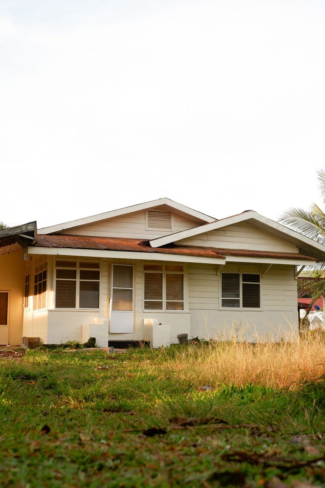 Window replacement in Innisfail: low bungalow with a wide front window behind long grass